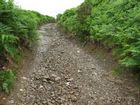 BrinksRoad06.JPG