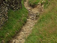 DerwentEdge03.JPG