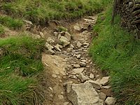 DerwentEdge04.JPG
