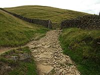 DerwentEdge05.JPG