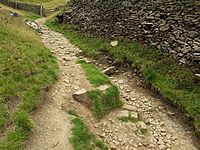 DerwentEdge06.JPG