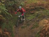 DSCF3793.JPG