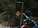 DSCF0337.JPG