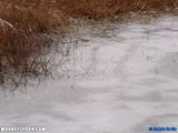 DSCF0357.JPG