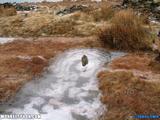 DSCF0363.JPG