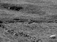 DSCF7618+.JPG