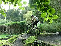 DSCF3711.JPG