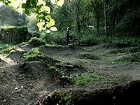 DSCF3729.JPG