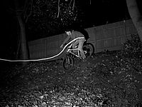 DSCF5002.JPG