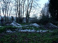 DSCF5035.JPG