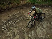 DSCF8017.JPG