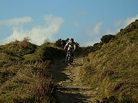 DSCF8029.JPG