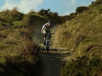 DSCF8031.JPG