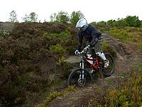 DSCF8100.JPG