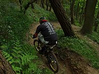 DSCF8146.JPG