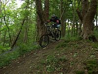 DSCF8157.JPG