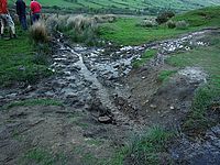 DSCF8218.JPG