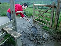 DSCF8228.JPG