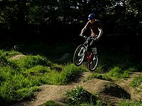 DSCF8299.JPG