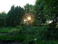 DSCF8337.JPG