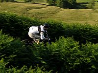DSCF8908