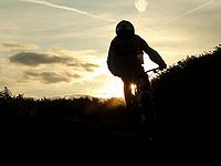 DSCF8933
