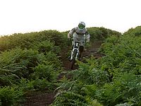DSCF8950