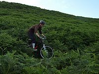 DSCF8976