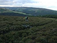 DSCF9073
