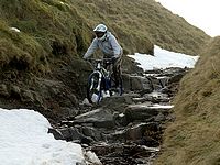DSCF4147