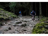 DSC01623.JPG
