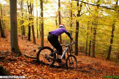 12-11-01 Cannock Chase Stile Cop