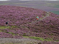 DSC00821.JPG