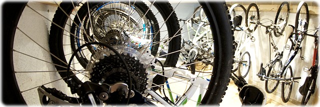 [ Peak District Bike Shop ]